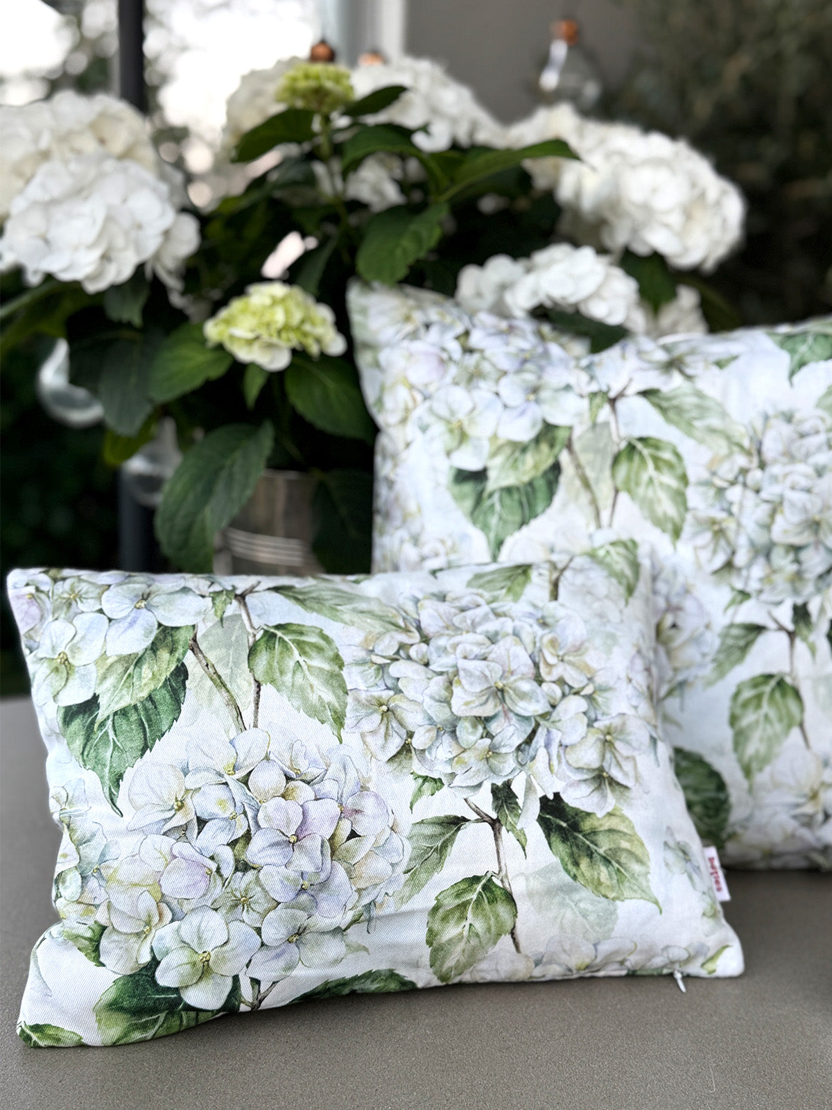 Zwei Kissen bezogen mit je einem Kissenbezug im Landhausstil, bedruckt mit weissen Hortensien. Im Hintergrund steht eine weisse Hortensienpflanze.
